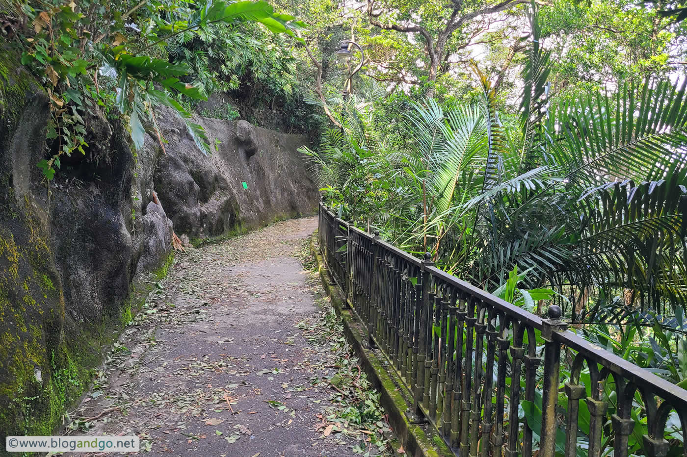 HK Trail 1 - Lugard Road